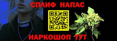 МДПВ Рузаевка