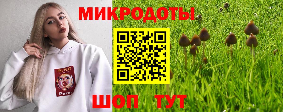 Галлюциногенные грибы мухоморы Ртищево